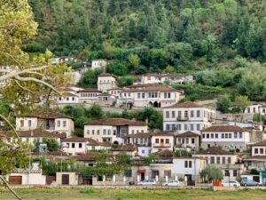 arnavutluk vize istiyor mu